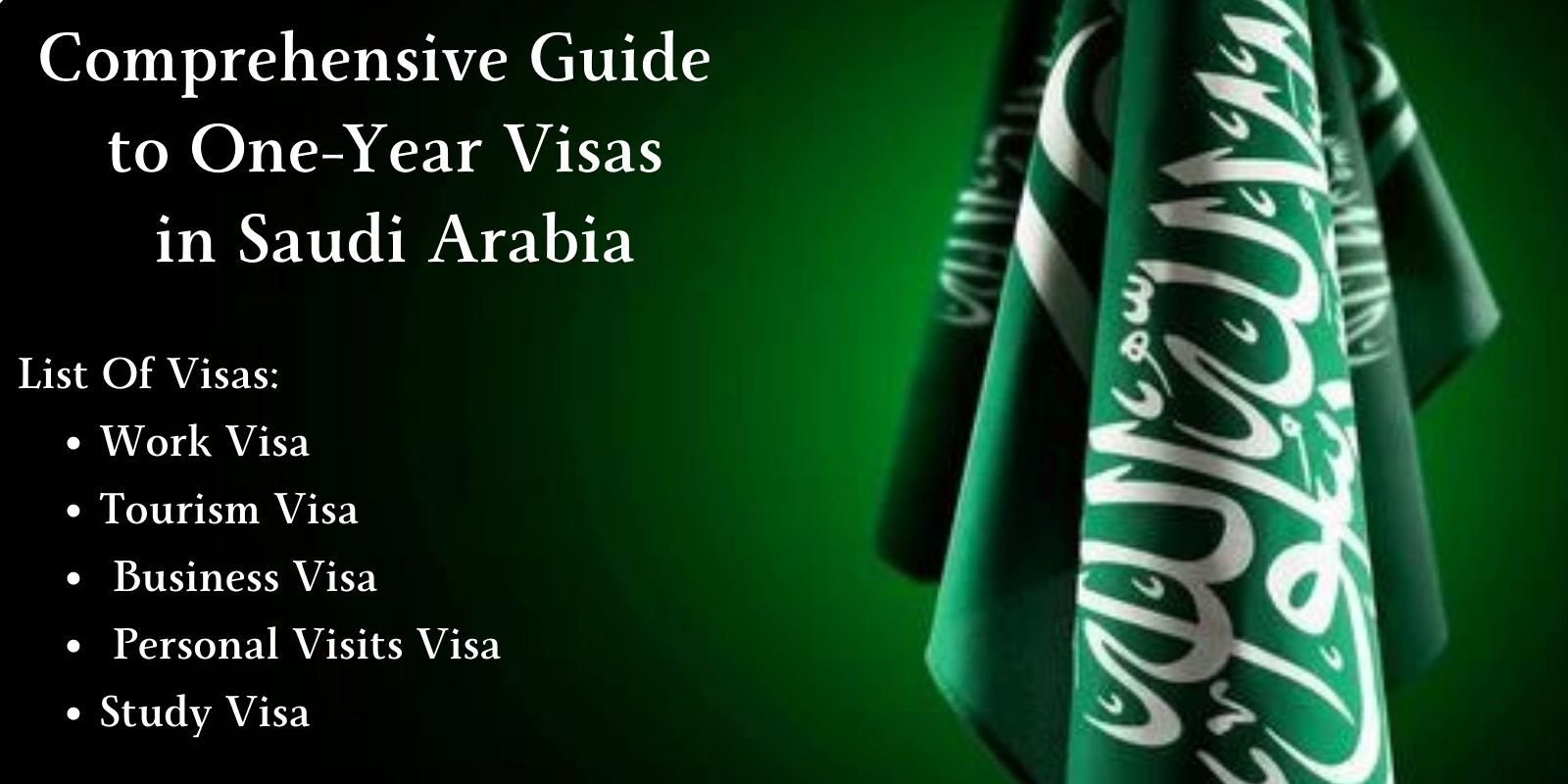 Complete Guide to One-Year Visas in Saudi Arabia