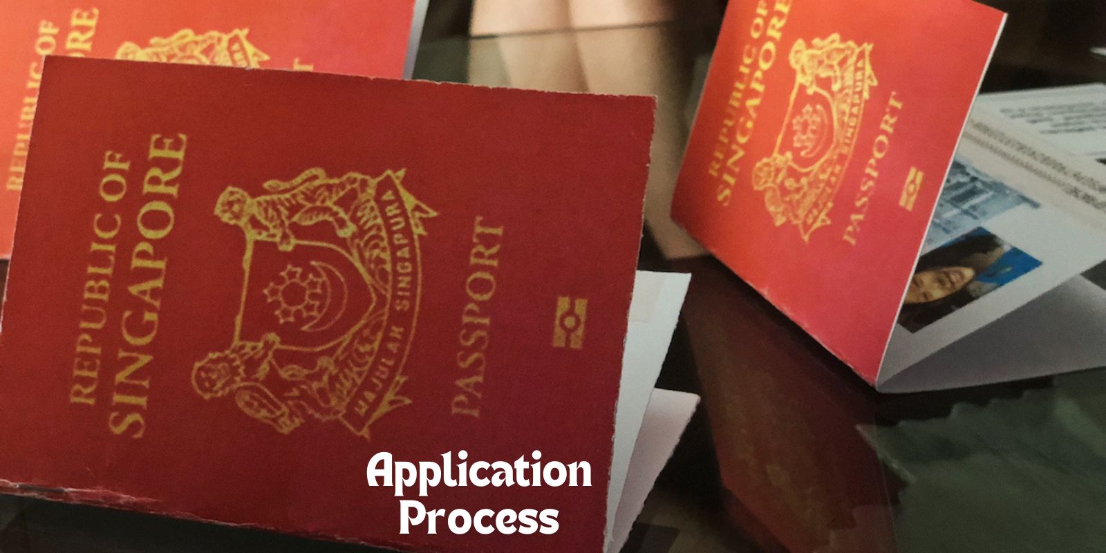 SINGAPORE NATURALIZATION PROCESS visual data 7