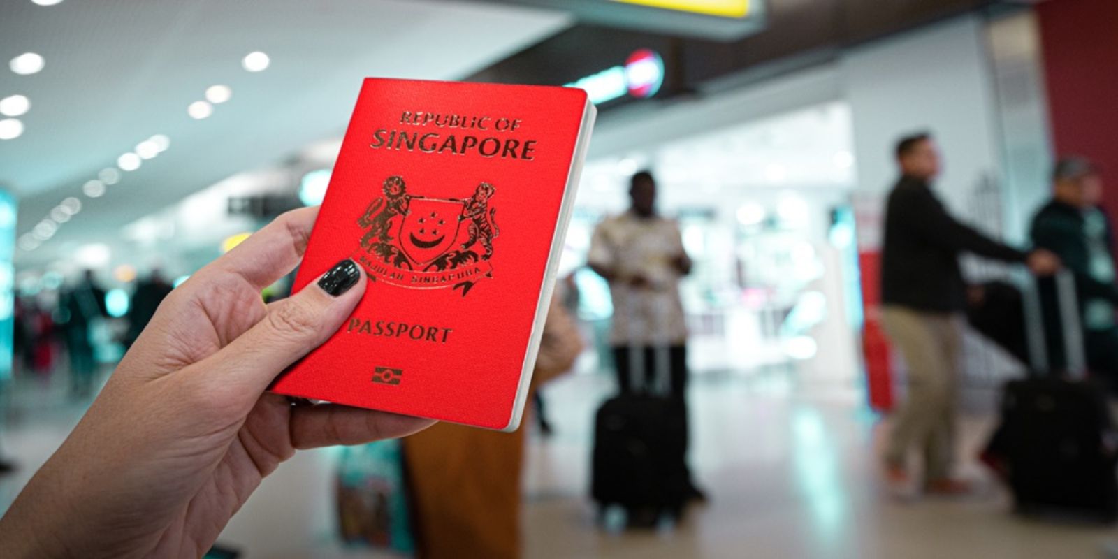 SINGAPORE NATURALIZATION PROCESS visual data 6