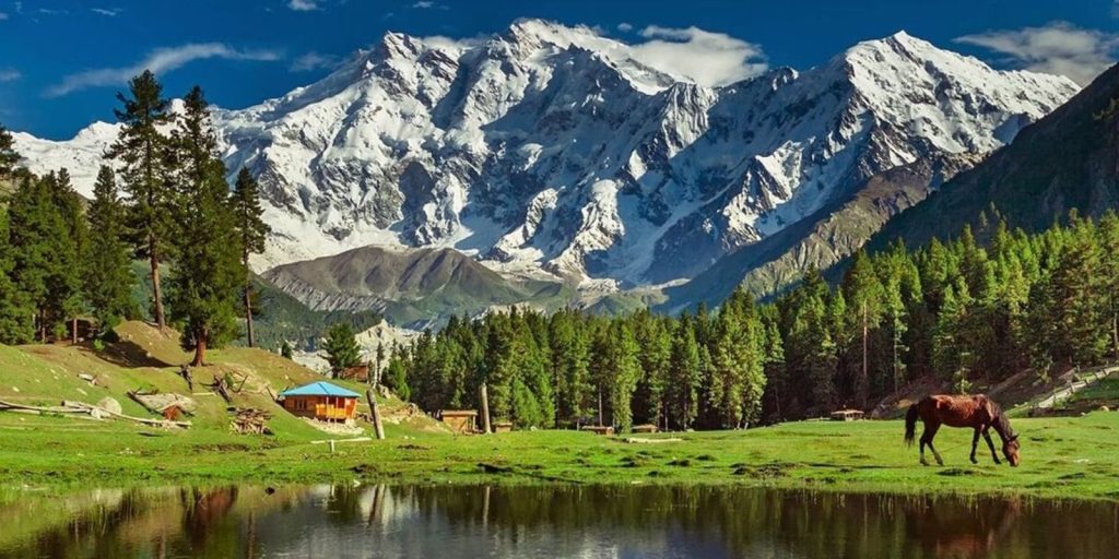 Fairy Meadows